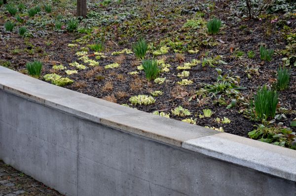 Cost of Concrete Wall Construction in Folsom