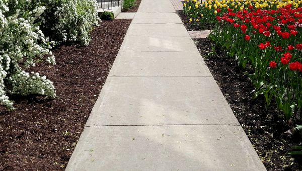 Cost of Cement Sidewalk Installation in Folsom